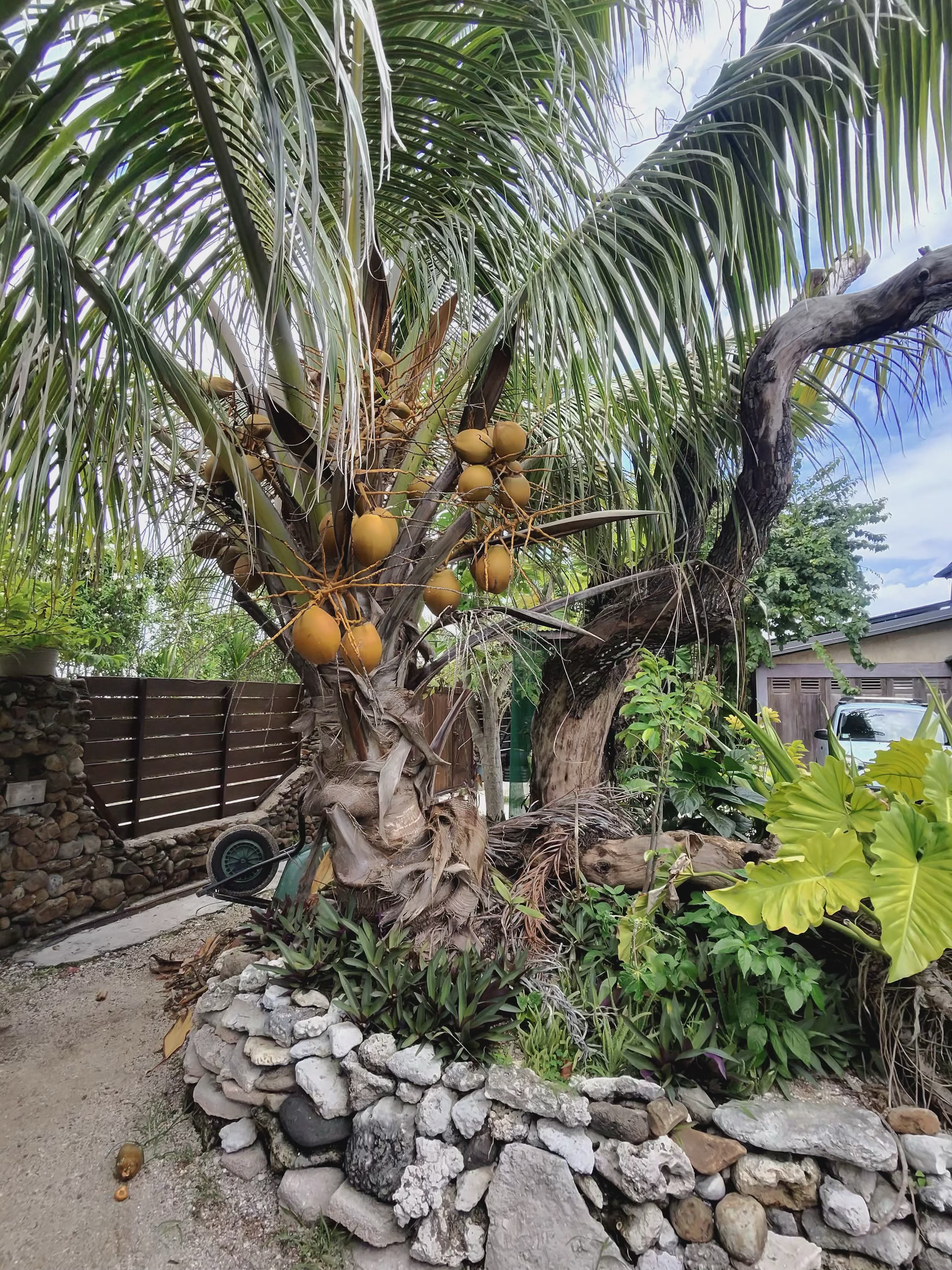 Green Lodge Moorea - Luxury Resort in Paradise