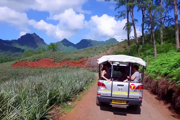 Moorea 4WD tour