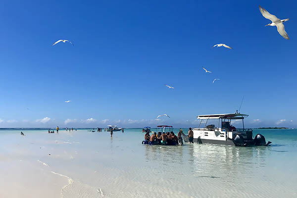 Moorea lagoon tour