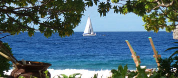 Boutique hotel à Moorea