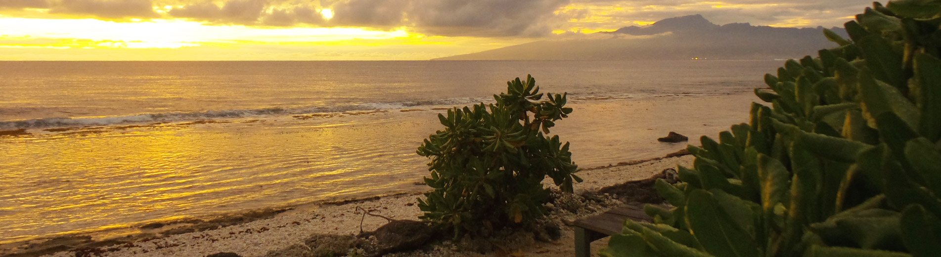 Hébergement à Moorea