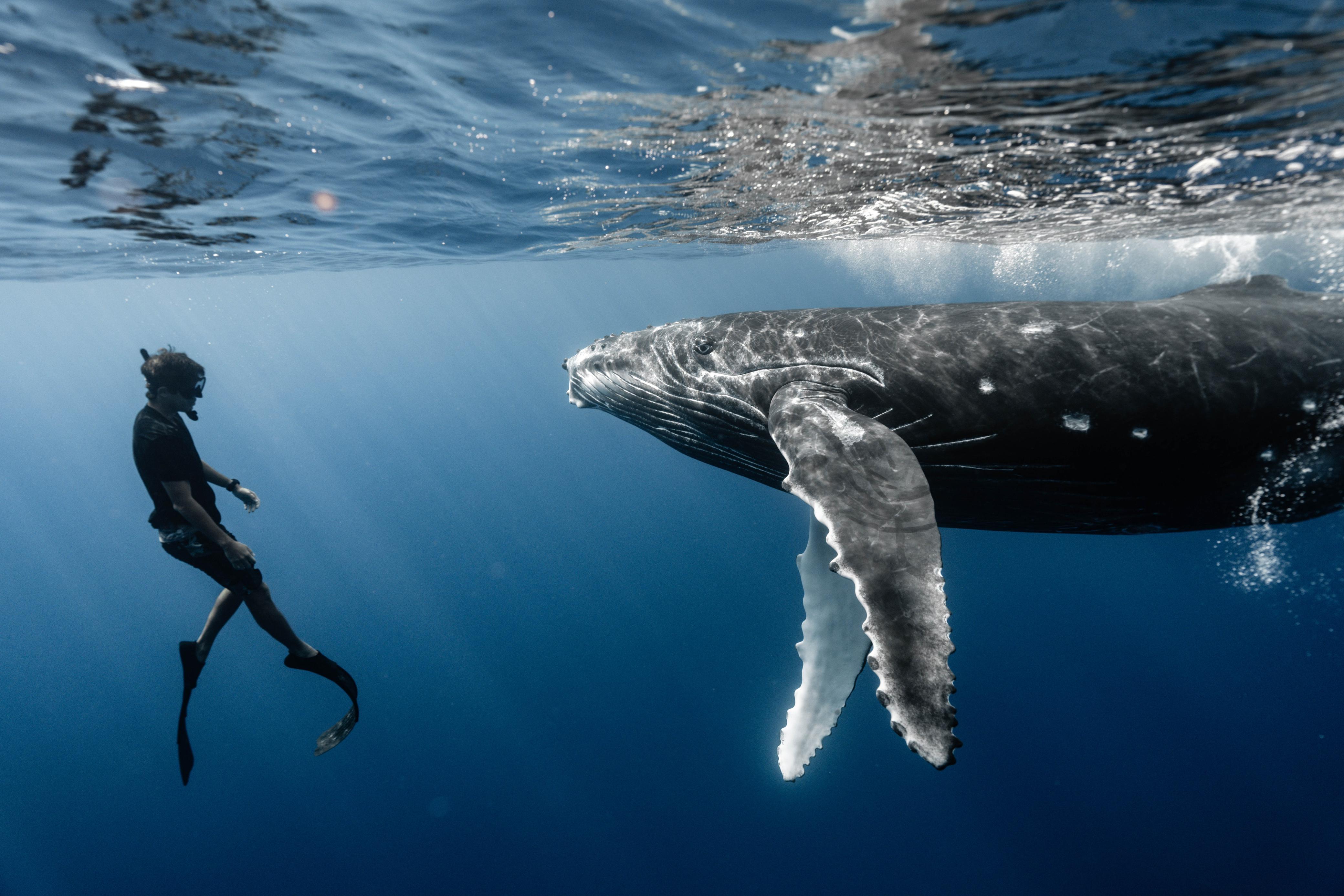 Dramatic Ocean Views